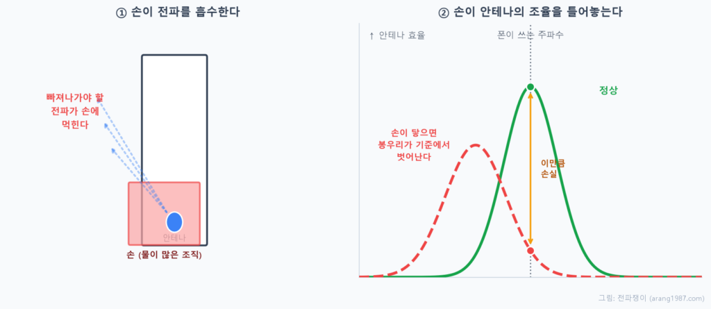 손이 신호를 떨어뜨리는 두 가지 원리. 왼쪽은 손이 안테나에서 나가는 전파를 흡수하는 모습, 오른쪽은 손이 닿아 안테나의 효율 곡선 봉우리가 폰이 쓰는 주파수에서 옆으로 밀려나 손실이 생기는 모습을 나타낸 그래프