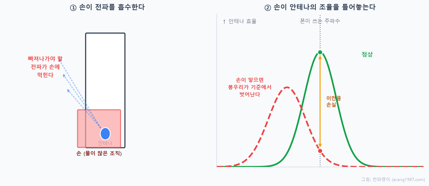 손이 신호를 떨어뜨리는 두 가지 원리. 왼쪽은 손이 안테나에서 나가는 전파를 흡수하는 모습, 오른쪽은 손이 닿아 안테나의 효율 곡선 봉우리가 폰이 쓰는 주파수에서 옆으로 밀려나 손실이 생기는 모습을 나타낸 그래프